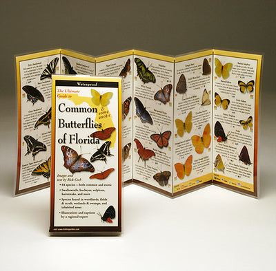 COMMON BUTTERFLIES OF FLORIDA - FOLDING GUIDE