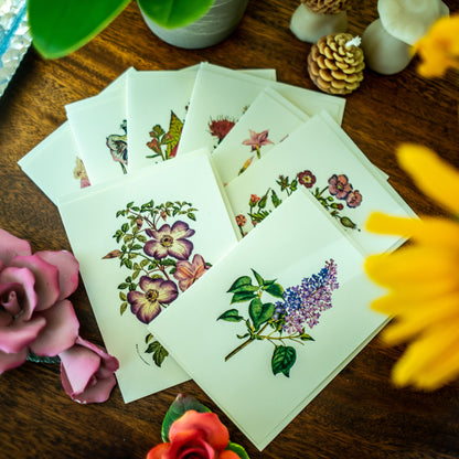 Classic Flower | Vintage Botanical Note Card Set