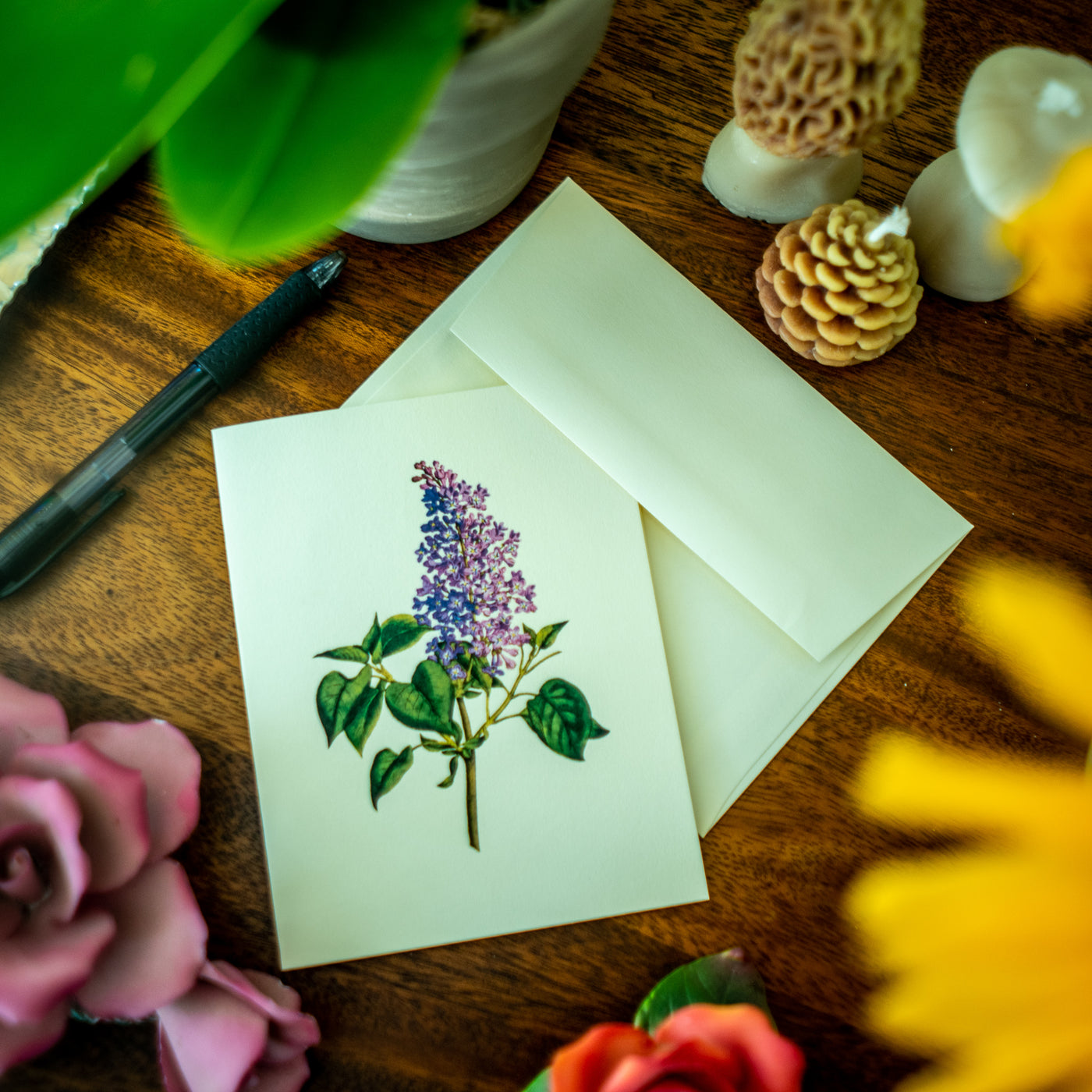Classic Flower Notecards - Botanical print notecard set – Charting Nature