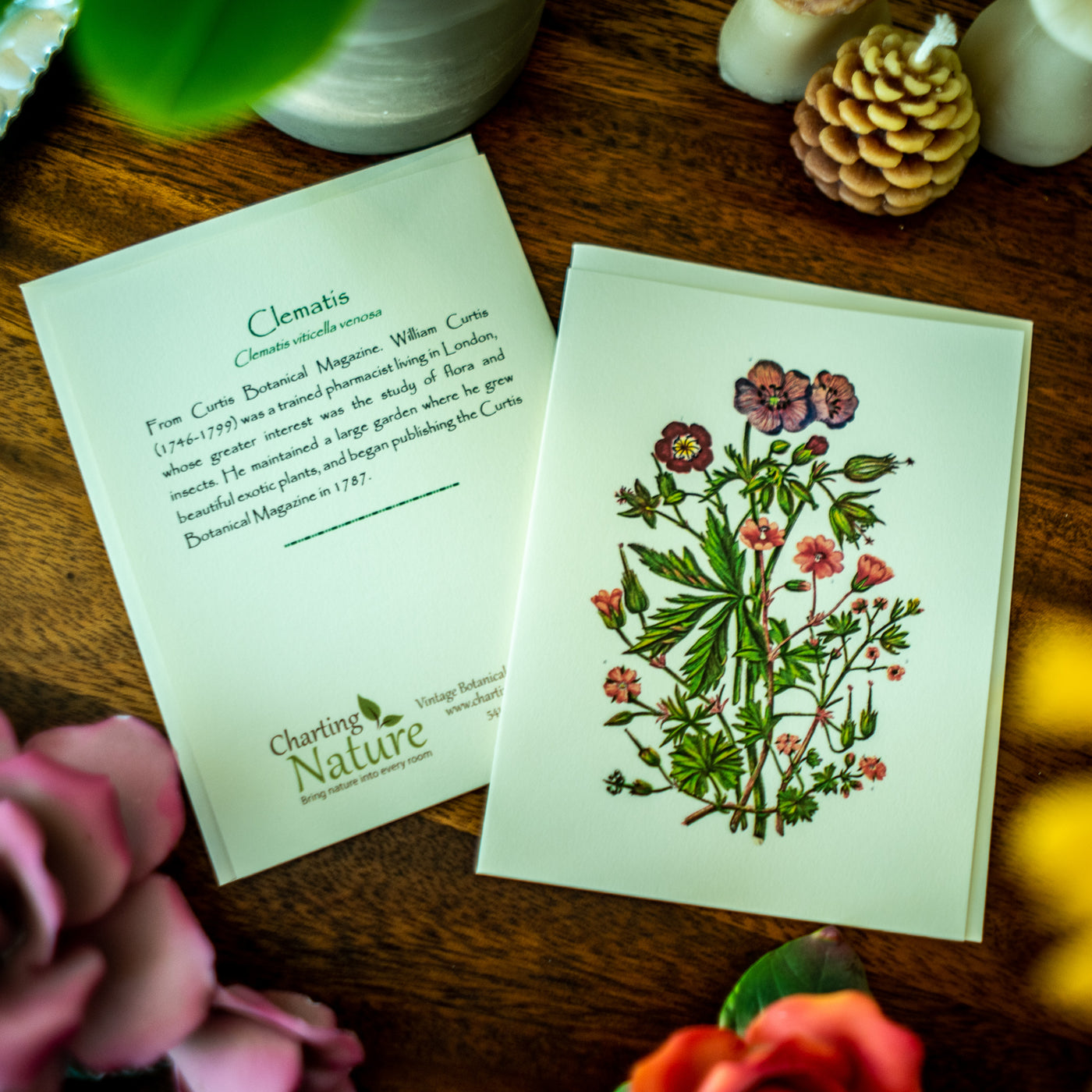 Classic Flower Notecards - Botanical print notecard set – Charting Nature