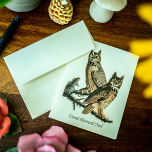Audbon Owl Note Cards - Charting Nature