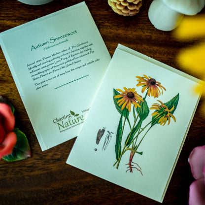 Yellow Wildflowers | Vintage Botanical Note Card Set