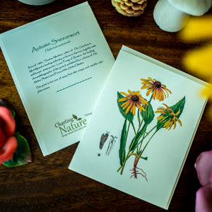Yellow Wildflower Notecards