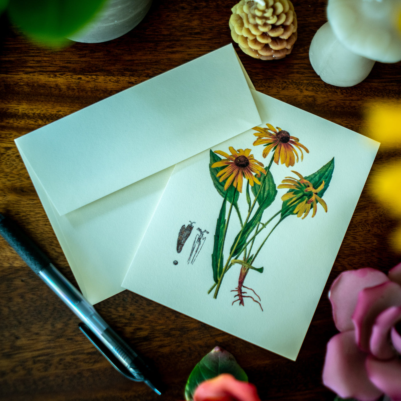 Yellow Wildflower Notecards - Botanical print notecard set – Charting ...