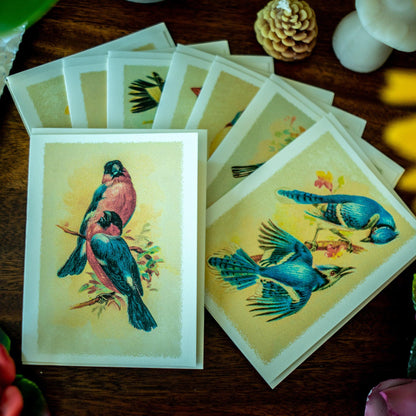 Antique Birds Notecards - Charting Nature