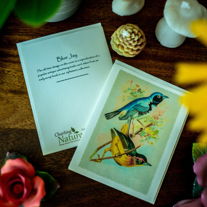Antique Birds Notecards - Charting Nature
