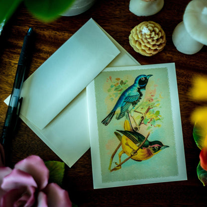 Antique Birds Notecards - Charting Nature