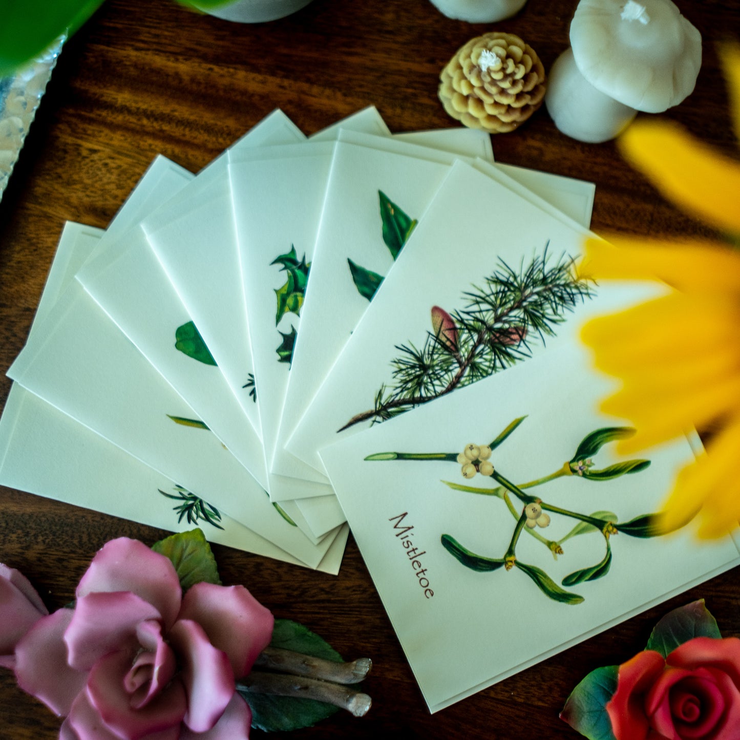 Holiday Trees | Vintage Botanical Note Card Set