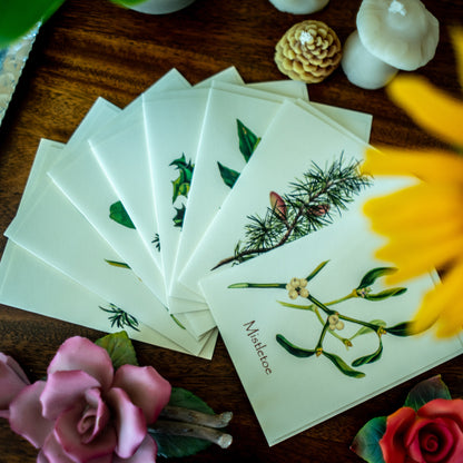 Holiday Trees | Vintage Botanical Note Card Set