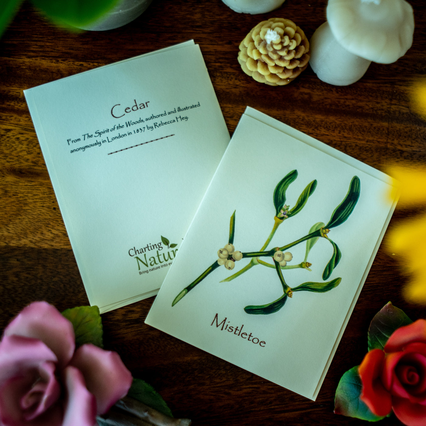 Holiday Tree Notecards - Botanical print notecard set – Charting Nature