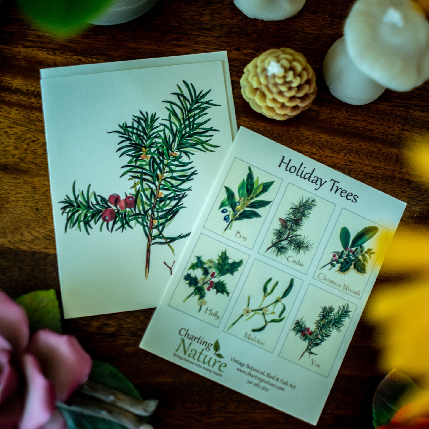 Holiday Trees | Vintage Botanical Note Card Set