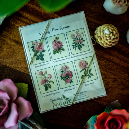 Pink Roses | Vintage Botanical Note Card Set
