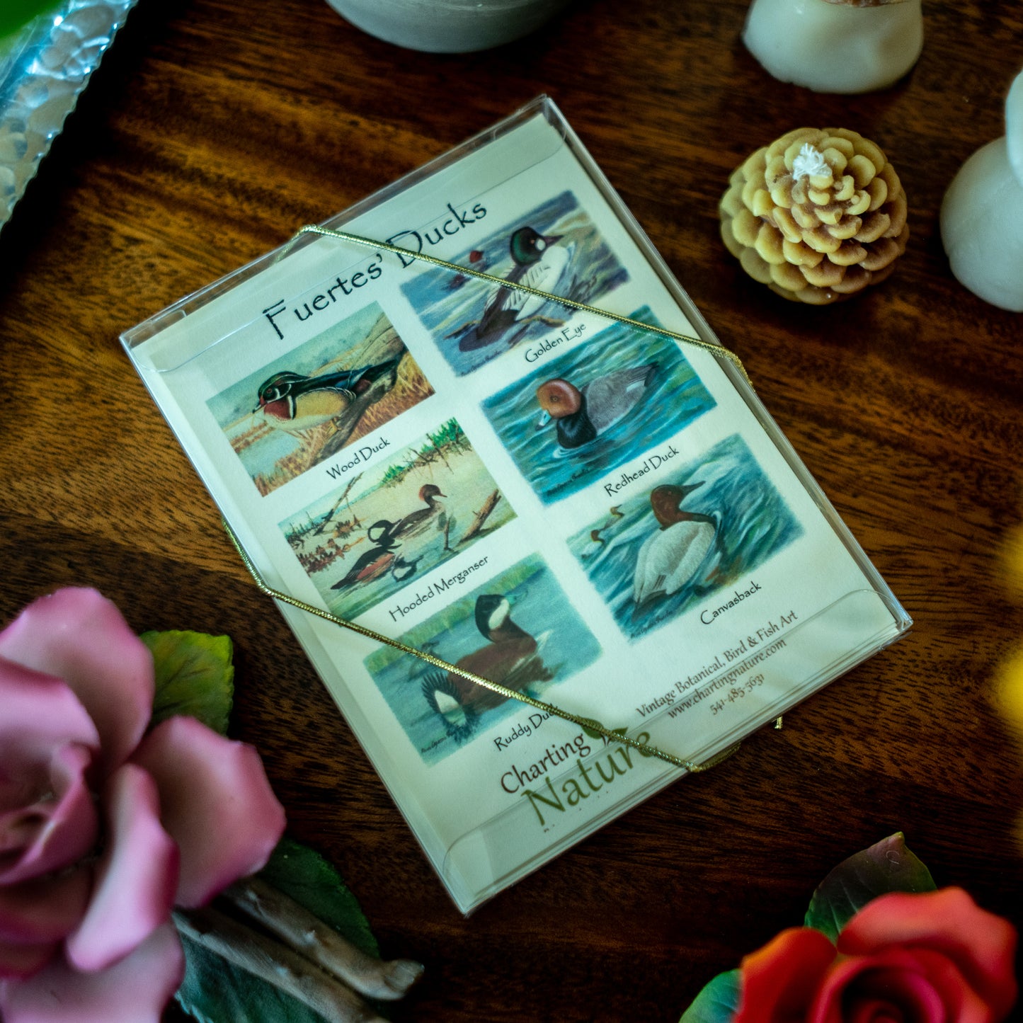 Duck  | Bird Note Card Set