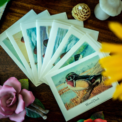 Duck Bird Note Card Set
