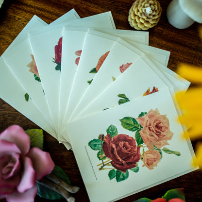 Mixed Roses | Vintage Botanical Note Card Set