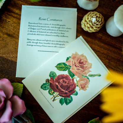 Mixed Roses | Vintage Botanical Note Card Set