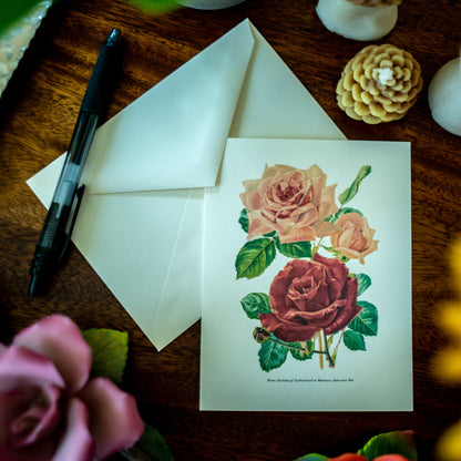 Mixed Roses | Vintage Botanical Note Card Set