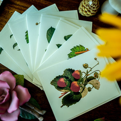 Fruit | Vintage Fruit Botanical Note Card Set