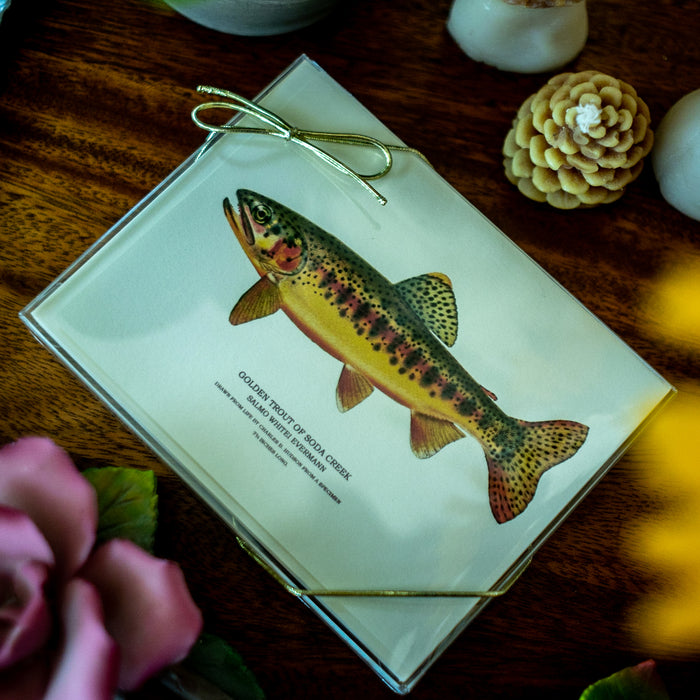 Vintage Trout Note Cards