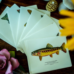 Vintage Trout Note Cards