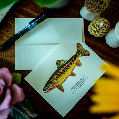 Vintage Trout  | Fish Note Card Set