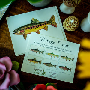 Vintage Trout Note Cards