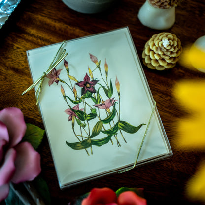 Classic Flower | Vintage Botanical Note Card Set