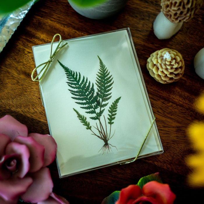 Vintage Fern Notecards