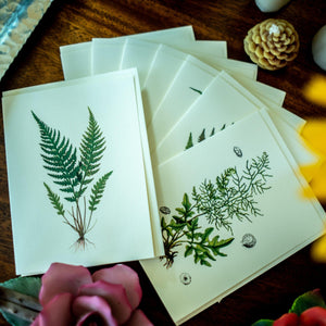 Antique Fern Notecards - Charting Nature