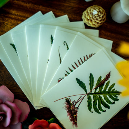 Native Ferns | Vintage Botanical Note Card Set