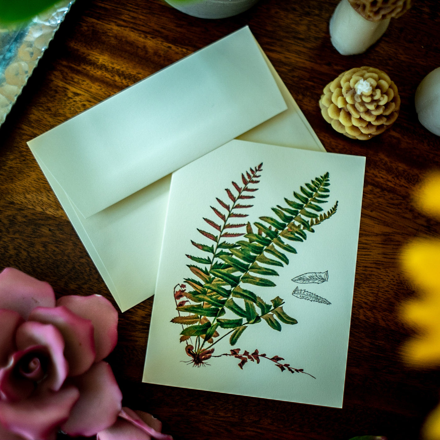 Native Fern Note Card Set - Botanical print notecard set – Charting Nature