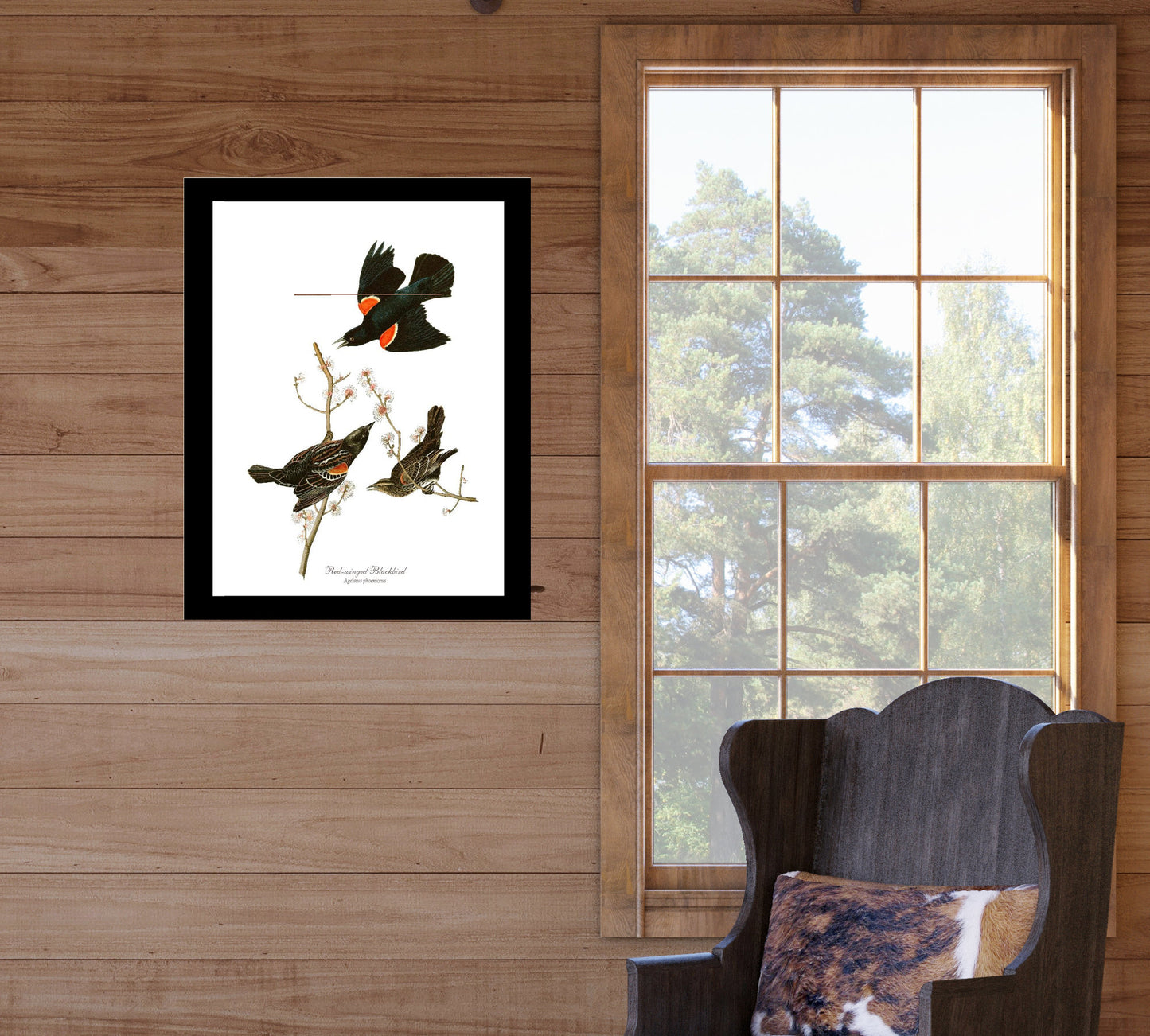 Red-winged Blackbird | Wildbird Wall Art Print