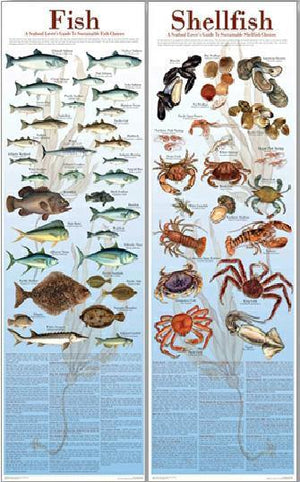 Seafood Poster and Guide Fish & Shellfish Species Identification Poster