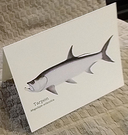 Grand Slam  | Fish Note Card Set