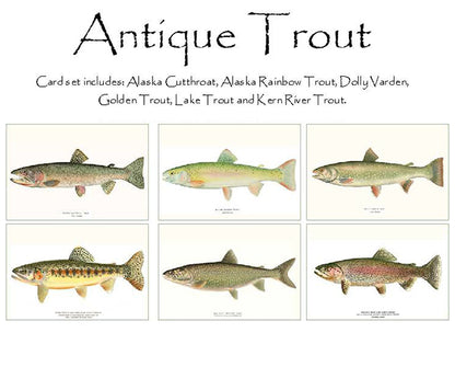 Vintage Trout  | Fish Note Card Set