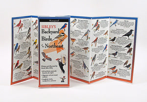 SIBLEY'S BACKYARD BIRDS OF THE NORTHEAST - FOLDING GUIDE - Charting Nature