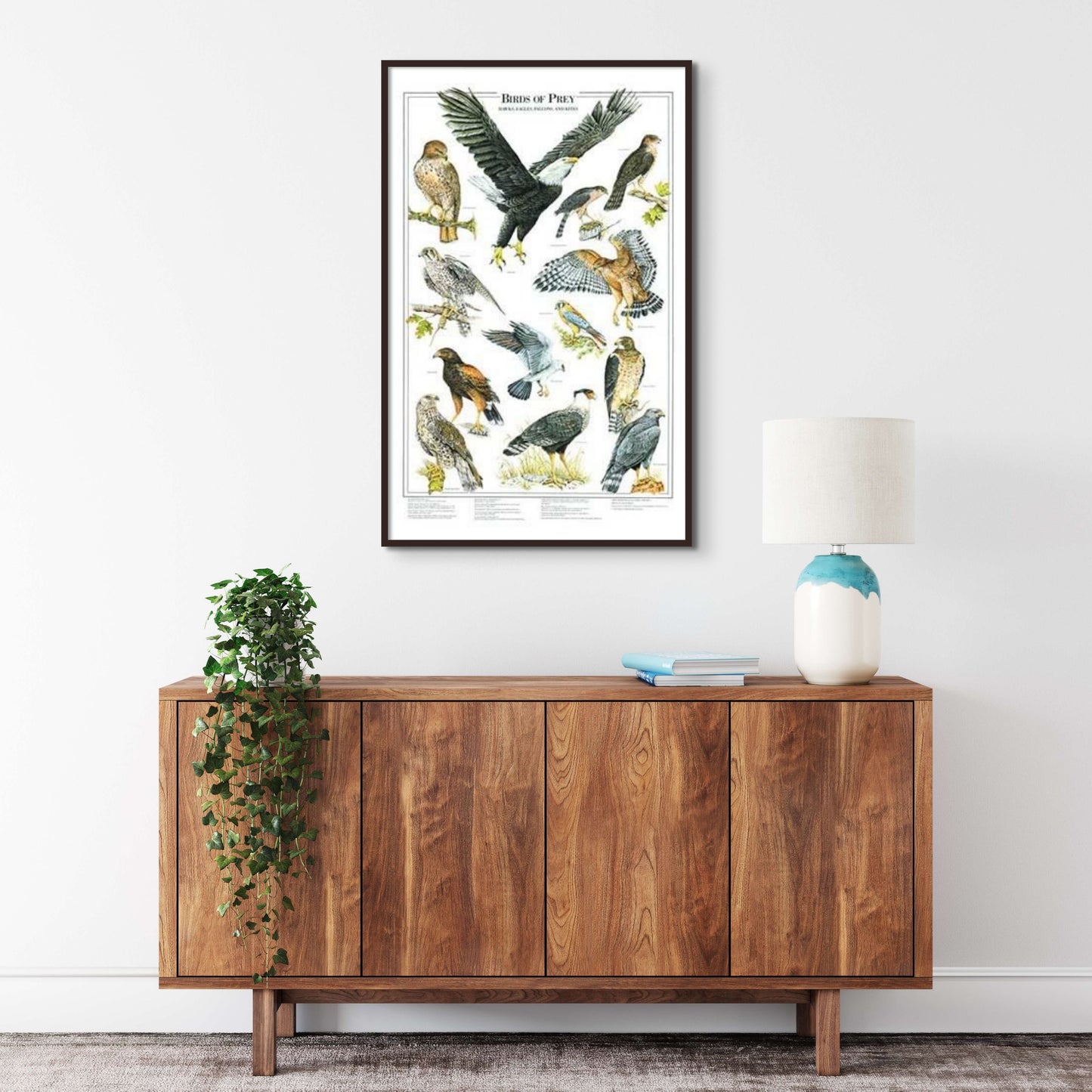 Eagles and Hawks | Birds of Prey Poster Vol. 1