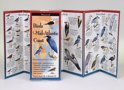 BIRDS OF THE MID-ATLANTIC COAST - FOLDING GUIDE