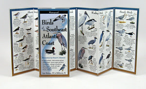 BIRDS OF SE. ATLANTIC COAST - FOLDING GUIDE - Charting Nature