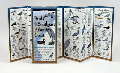 BIRDS OF SE. ATLANTIC COAST - FOLDING GUIDE
