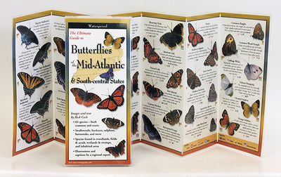 BUTTERFLIES OF THE MID-ATLANTIC STATES - FOLDING GUIDE