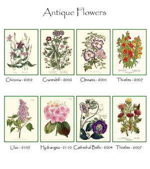 Vintage Botanical Flower Notecards