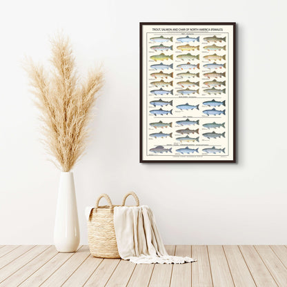 Trout, Salmon and Char Poster and ID Chart - Females