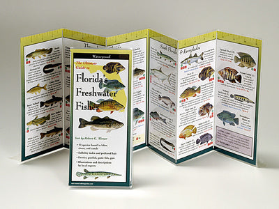 Florida's Freshwater Fishes - Folding Guide