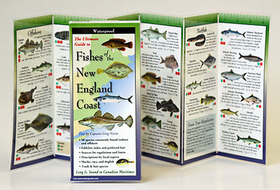 FISHES OF THE NEW ENGLAND COAST - FOLDING GUIDE
