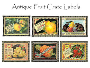 Fruit Crate Label Note Cards