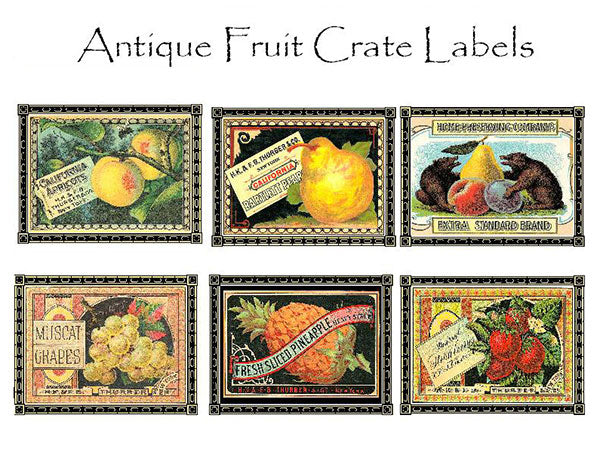 Fruit Crate Label Notecards