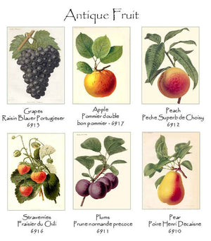 Vintage Fruit Note cards