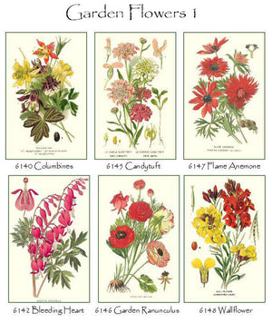 Garden Floral Flower Note Cards