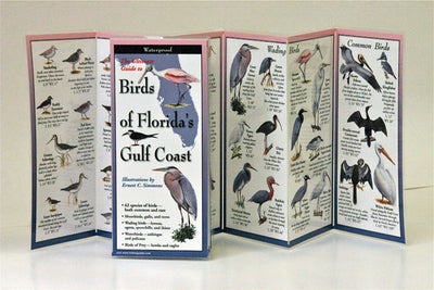 FLORIDA'S GULF COAST BIRDS - FOLDING GUIDE
